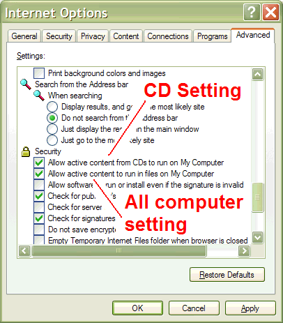 The Internet Explorer Internet Options Advanced options settings needed to run FindinSite-CD